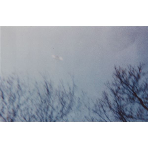 Photograph: UFO Over Trees - Nueva Leon Mexico, Autumn 1994 - Taken by Ruby Salazar
