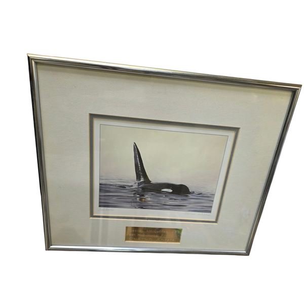Framed James Wilson "Solitaire" Orca Print with Brass Trophy Plaque - 11" x 14" framed