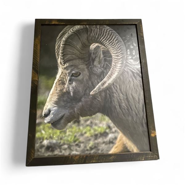 Oversize "Big Horn Sheep"  Giclee Painting on Canvas  - Wood Frame is 53" x 65" - Approximate size