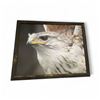 Image 1 : Oversize "Eagle"  Giclee Painting on Canvas  - Wood Frame is 65" x 53" - Approximate size