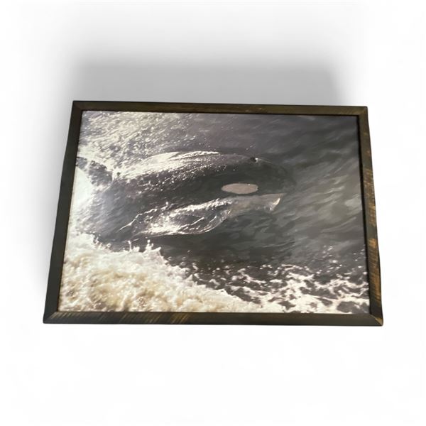 Oversize "Orca Killer Whale"  Giclee Painting on Canvas  - Wood Frame is 85" x 65" - Approximate siz