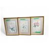 Image 1 : 3 Lillian Snelling Botanical Prints - 18" x 24" framed