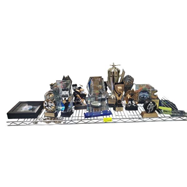 Shelf - Misc. Awards & Trophies
