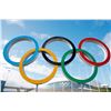 Image 1 : Olympic Items & Memorabilia