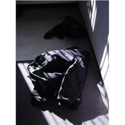 JACKETS, PARTS, & SHIRTS (1X)