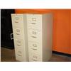 Image 2 : 2 DOOR CABINET DESK, 2-4 DRAWER FILE CABINETS, BOOKSHELF, CABINETS (X2), MONITOR, CAN & MISC