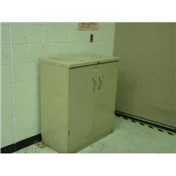 2 DOOR CABINET CREDENZA X1