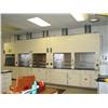 Image 1 : LAB HOODS (3X) W/CABINETS (2 DUEL 1 SINGLE)