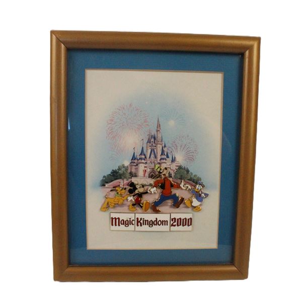 A Limited Edition Magic Kingdom Framed Pin Set.