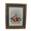 Image 1 : A Limited Edition Magic Kingdom Framed Pin Set.
