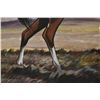Image 8 : JICARILLA APACHE PAINTING (FRANK PAUL VIGIL)