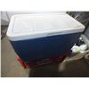 Image 9 : Bin Of Lubricants & Coleman Cooler