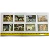 Image 2 : (8) 1950's - 60's Dog Cardds Double Sided