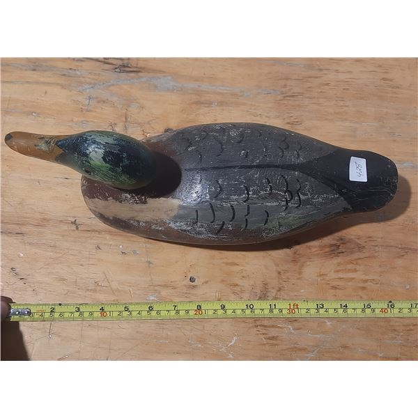 Wooded Duck - Head Turns.