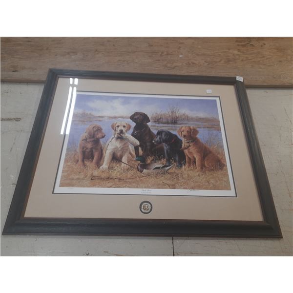 Picture Ducks Unlimited Duck Daze.