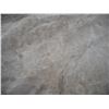 Image 10 : Animal hide- 60x75