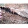 Image 11 : Animal hide- 60x75
