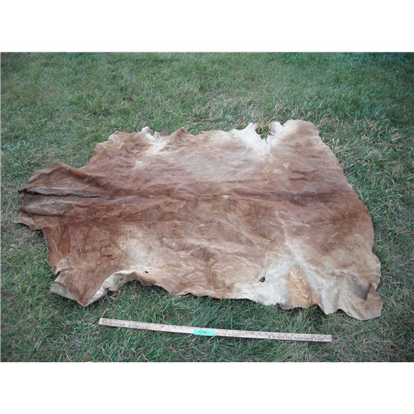 Animal hide- 60x75