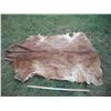Image 1 : Animal hide- 60x75