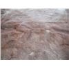 Image 4 : Animal hide- 60x75