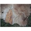 Image 5 : Animal hide- 60x75