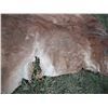 Image 6 : Animal hide- 60x75