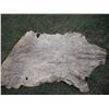 Image 7 : Animal hide- 60x75