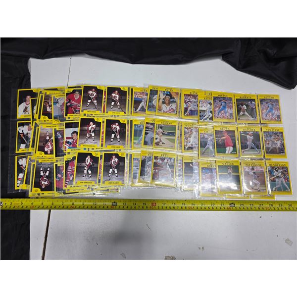 Pages of hockey and baseball cards