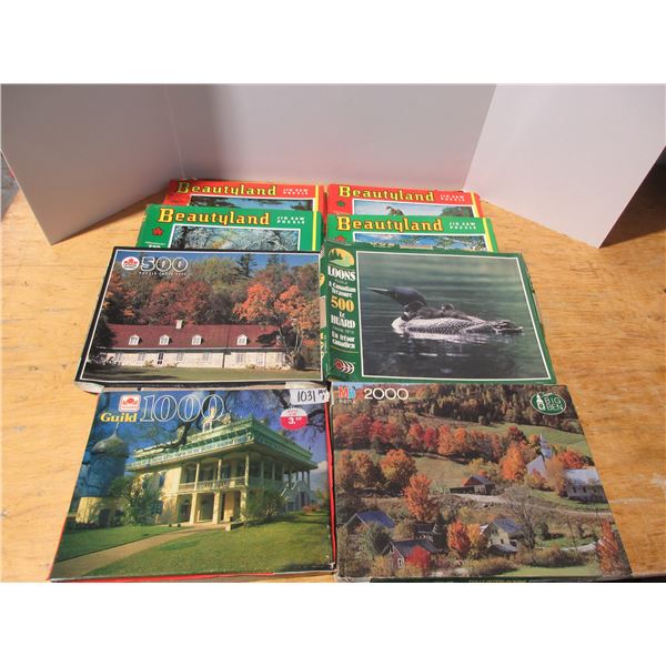 (8) Puzzles (Various)