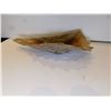 Image 2 : 1164.  FOLDED SHELL DISH ARTGLASS