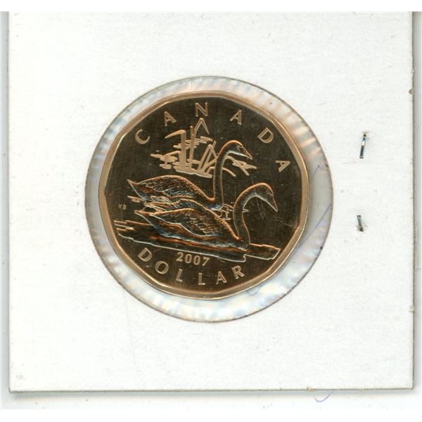 Canadian 2007 One Dollar Coin (loonie) Trumpeter Swab Proof Coin