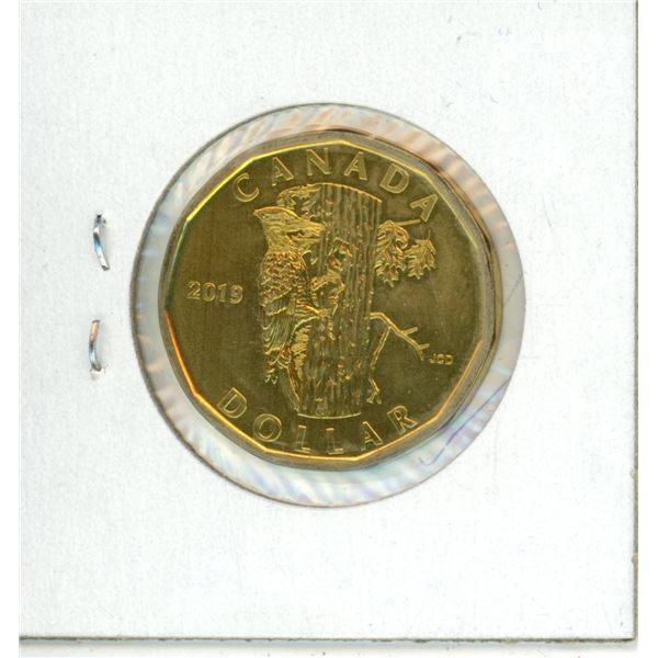 Canadian 2019 One Dollar Coin (loonie) Pileated Wood Pecker From Specimen Set