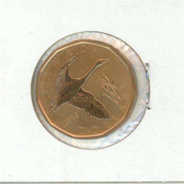 Canadian 2016 One Dollar Coin (loonie) Tundra Swan From Specimen Set