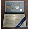 Image 1 : 1993 6-Coin Canadian Specimen Set. housed in its Original RCM Case