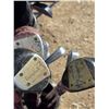 Image 5 : Golf clubs with bags and caddy- Cambell clubs