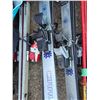 Image 3 : Skis, poles, shoes and bags