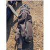Image 5 : (2) Golf bags Full of Golf Clubs and Covers (Good Condition)