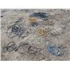Image 1 : Lot of Misc. Extension Cords (Some Damaged, Not Tested)