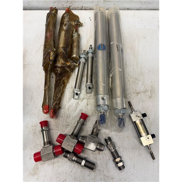 Lot of Pneumatic Cylinders