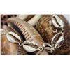 Image 1 : Sterling Silver Cowrie Shell Link Bracelet