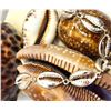 Image 2 : Sterling Silver Cowrie Shell Link Bracelet