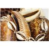 Image 3 : Sterling Silver Cowrie Shell Link Bracelet