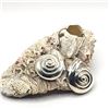 Image 8 : House of Bangles Shell Earrings - Pre-1990's .925