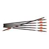 Image 1 : RAVIN ARROWS 500GR HD 6PK .001
