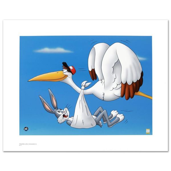Special Delivery by Looney Tunes,