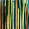 Image 2 : Populus: Environmental Change by Alan, Craig
