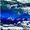 Image 2 : Untitled by Wyland Original
