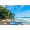 Image 2 : Costa Rica Vacation for 2 People