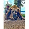 Image 2 : Canada Bear Hunt and Fishing Adventure