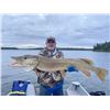 Image 4 : Canada Bear Hunt and Fishing Adventure
